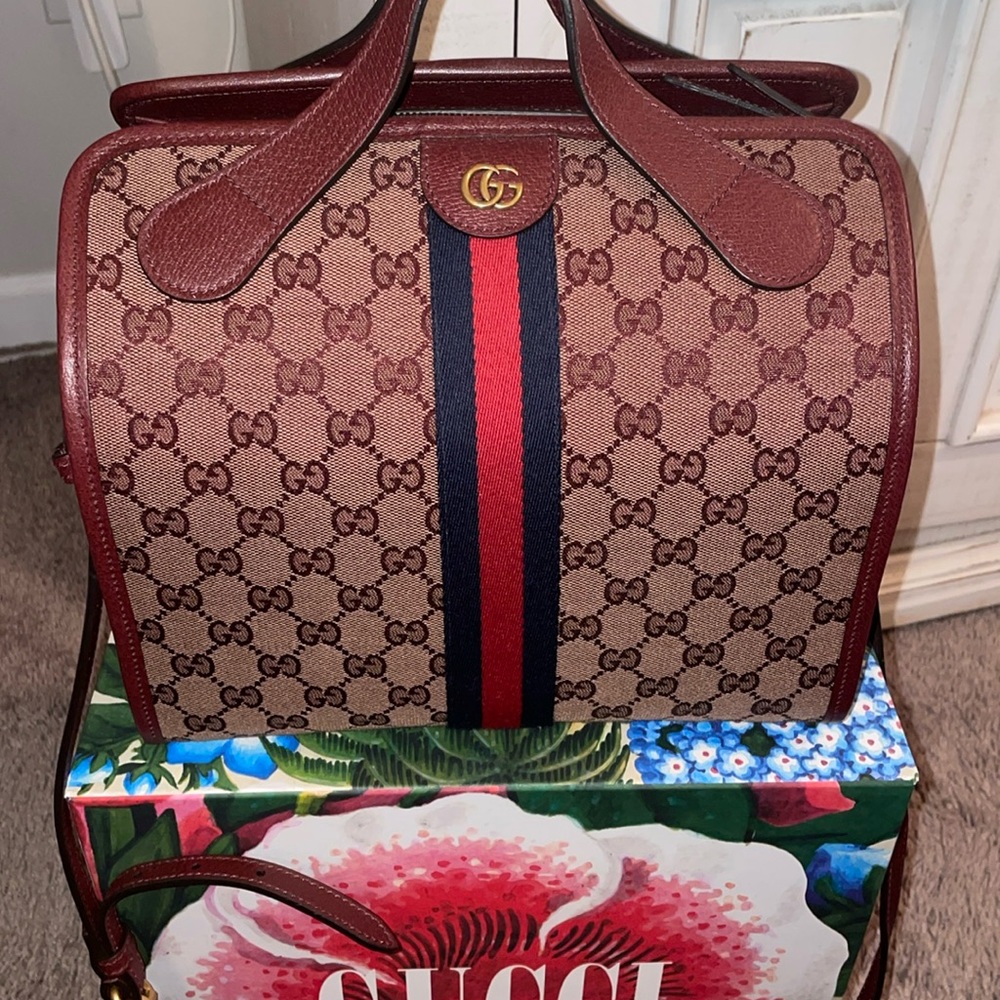 Gucci GG canvas Ophidia